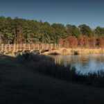 Best 10 Trails In Chatham County Wetlands Preserve AllTrails