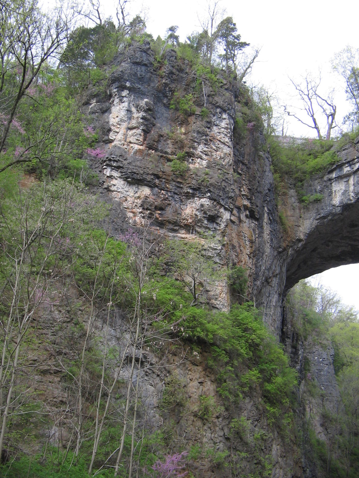 Bridgehunter Natural Bridge