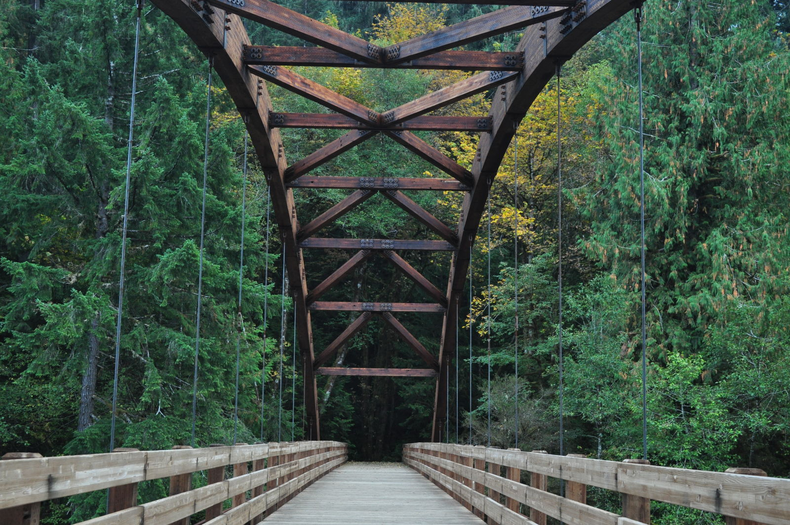 Bridgehunter Tioga Bridge