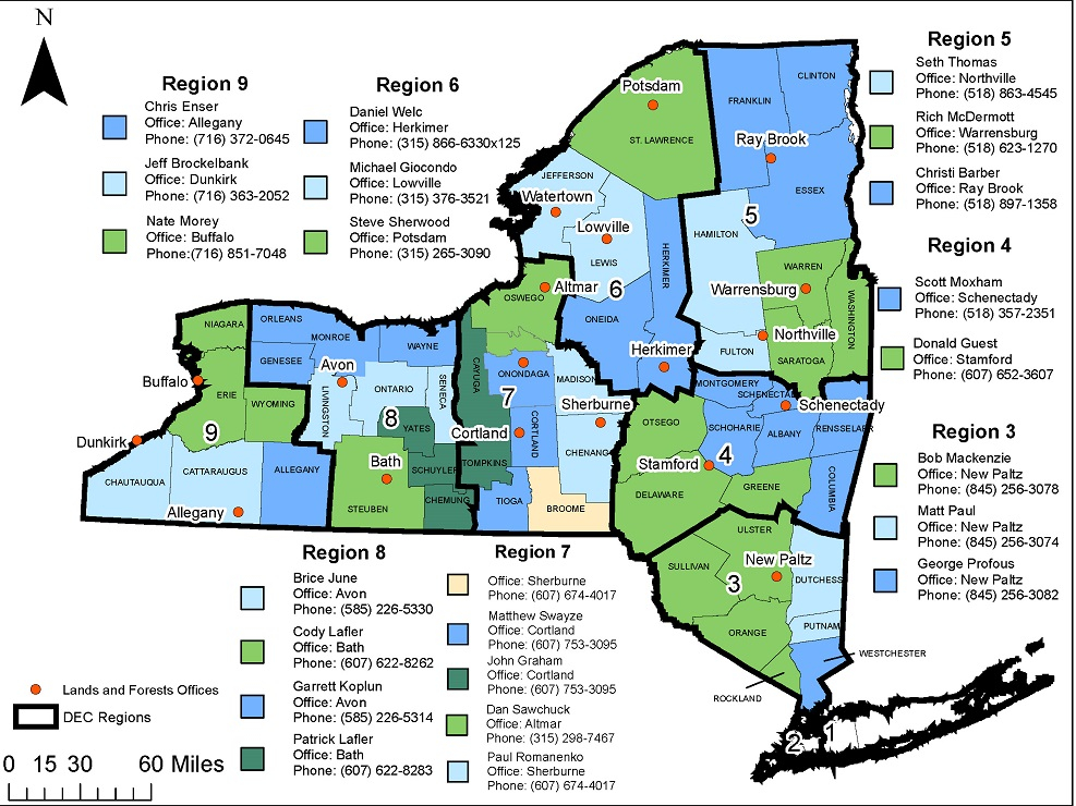 DEC Stewardship Forester Coverage NYS Dept Of Environmental Conservation