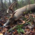 Ohio Whitetail Hunting Property Hunting Leases HuntingLocator