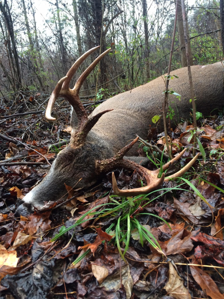 Ohio Whitetail Hunting Property Hunting Leases HuntingLocator